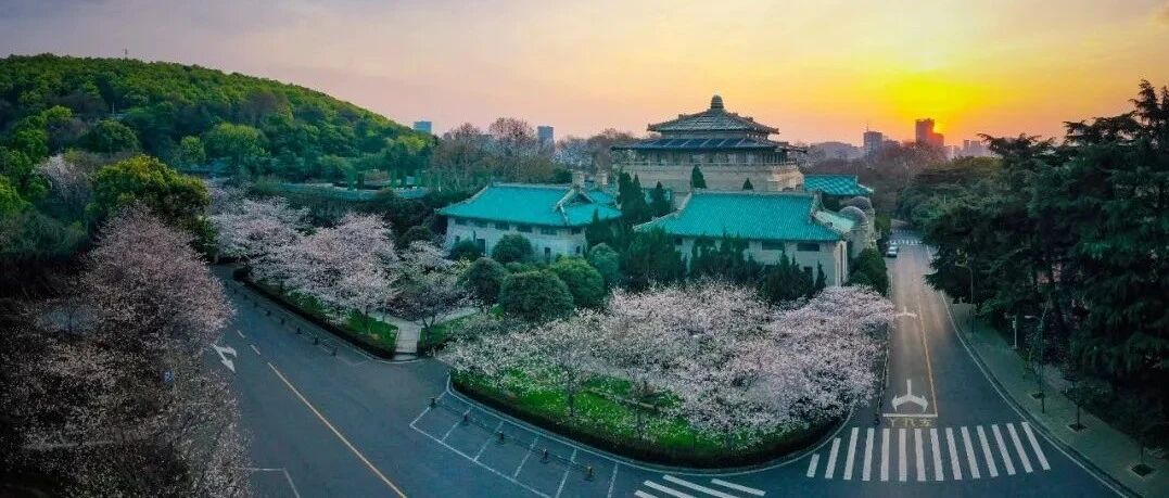 武汉大学今年普通本科招生增加湖北招生名额，转专业不限人数｜早安武汉（语音版）