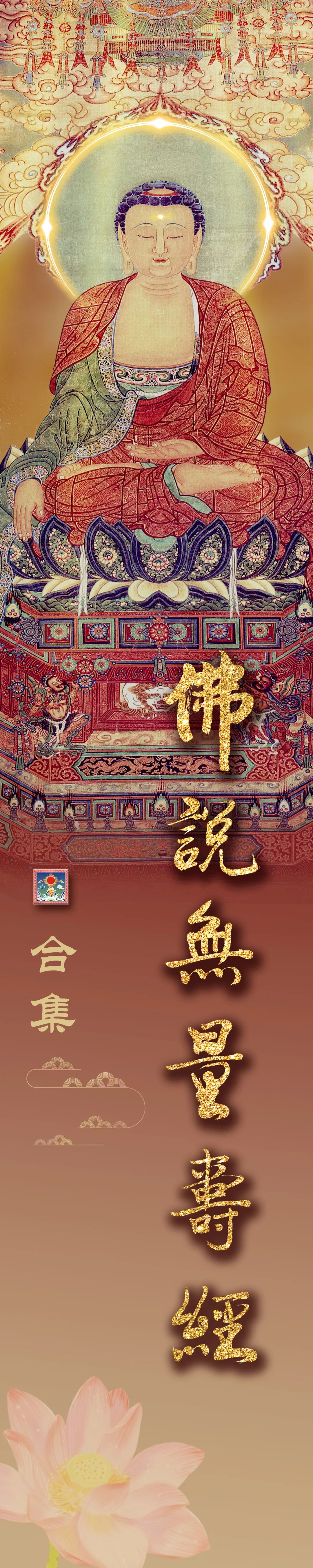 零散收录>> 《佛说无量寿经》讲记视频合集{精美版}