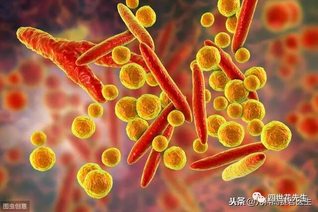 孩子反复肺炎支原体感染怎么办？医生：可能不需要吃阿奇霉素