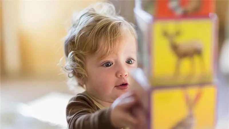 父母课堂：孩子出现感统失调和父母有很大关系