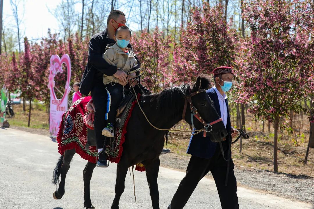 骑马观光。王俊伟 摄