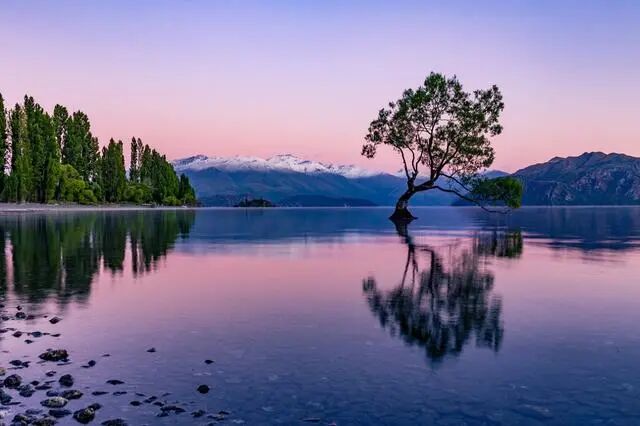 ps剪切蒙版快捷键_ps剪切蒙版快捷键_ps剪切蒙版