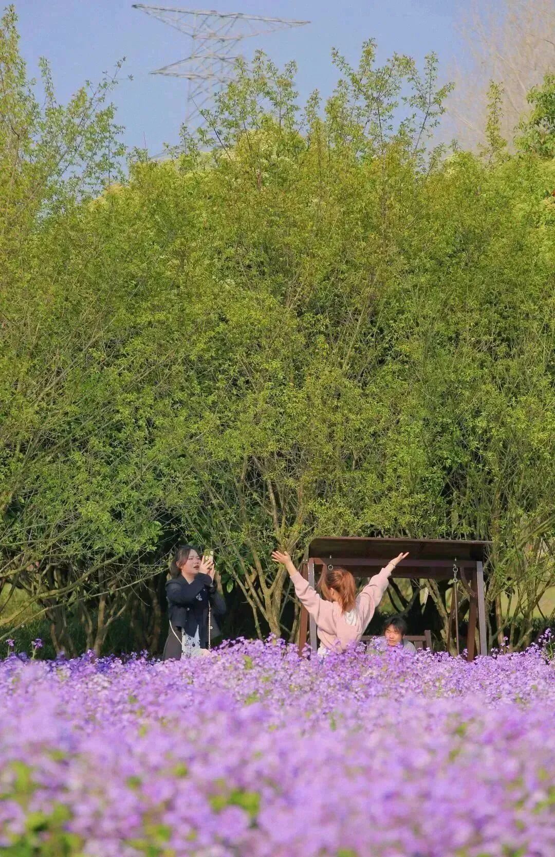 精准精准再精准，坚持坚持再坚持！市防疫指挥部第126次工作视频会商会召开