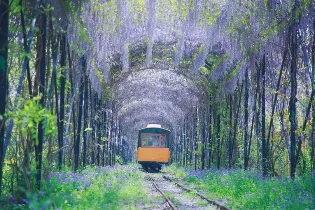 山分行开展制止餐马鞍银行饮浪督检查费监工商