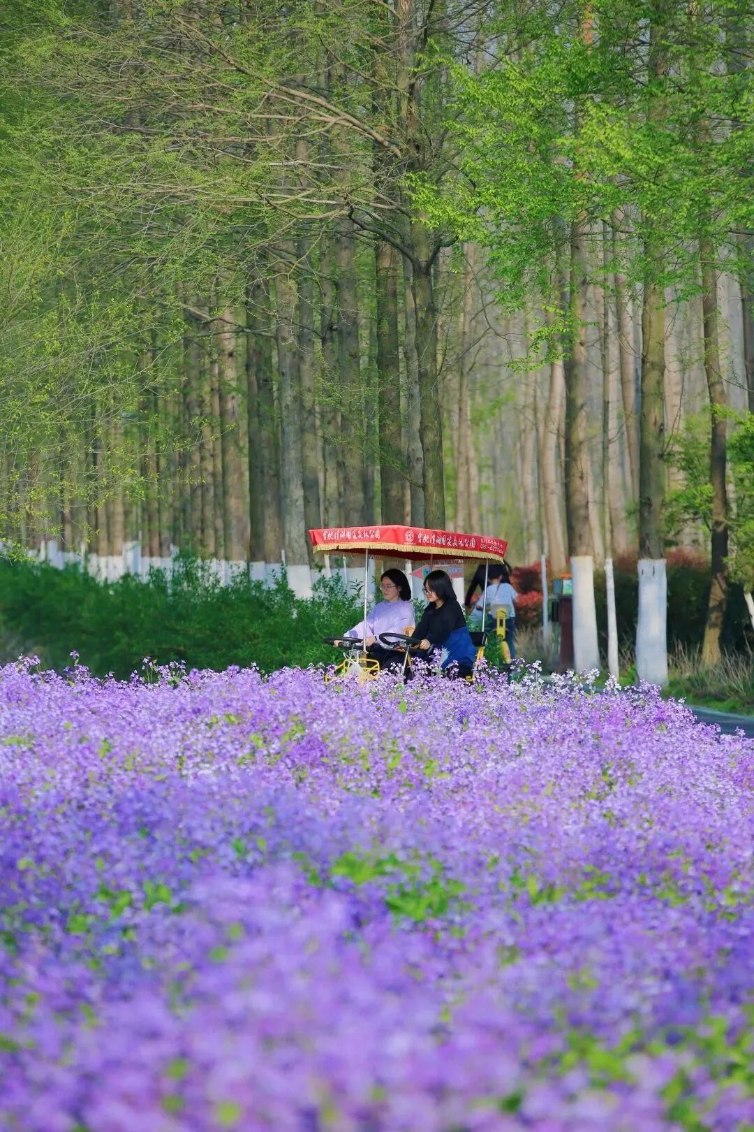 不达标将被注制 厦门销网约首创车退出机考核