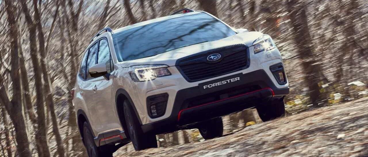 全新斯巴鲁森林人，你还是自己玩吧！