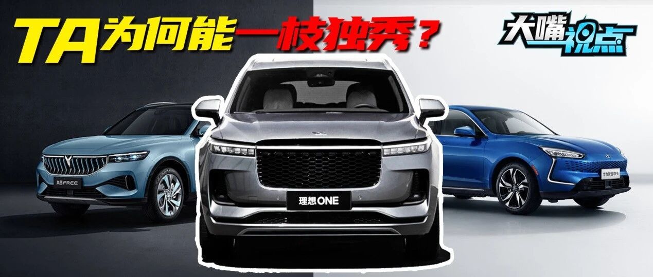 大嘴视点|说好“三个人一台戏”，为何却成就了TA的“一枝独秀”？