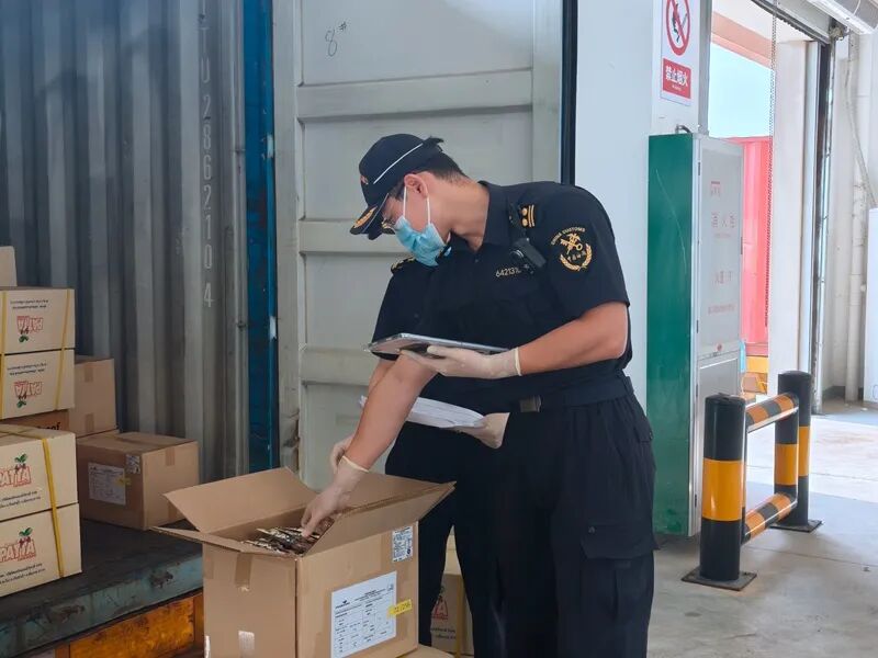3月28日，海口海关所属洋浦海关关员对第六届中国国际消费品博览会首批货物进行验放。曹琳佩摄