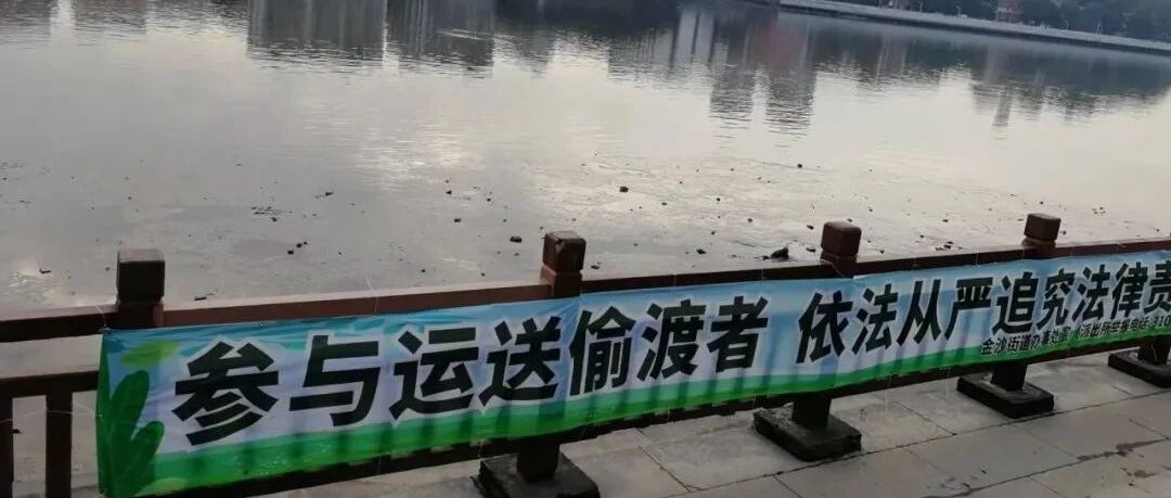 回忆的假装热闹 与 孤独的夜半梦醒