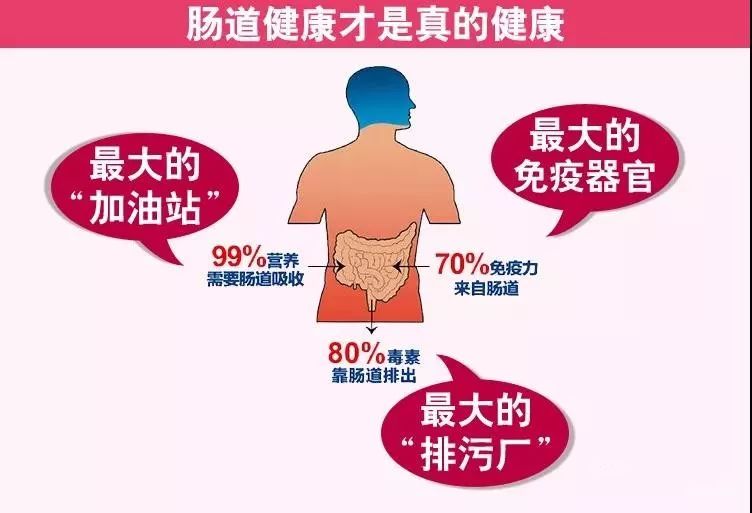 一个肠道的独白，不看你就损失大了