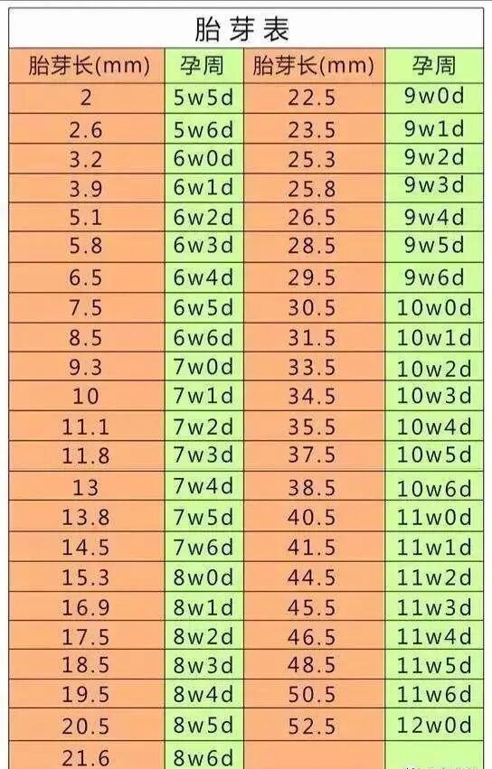 眼科ab超单怎么看孕妇的B超单怎么看？13个指标详细解析，孕妈妈轻松看懂B超单_https://www.jmylbn.com_新闻资讯_第2张