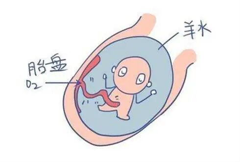 眼科ab超单怎么看孕妇的B超单怎么看？13个指标详细解析，孕妈妈轻松看懂B超单_https://www.jmylbn.com_新闻资讯_第7张