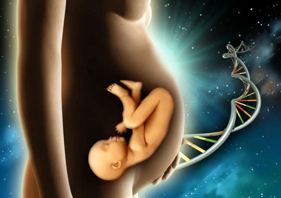 怀孕六个月胎儿胎动（怀孕6个月胎动在什么位置）
