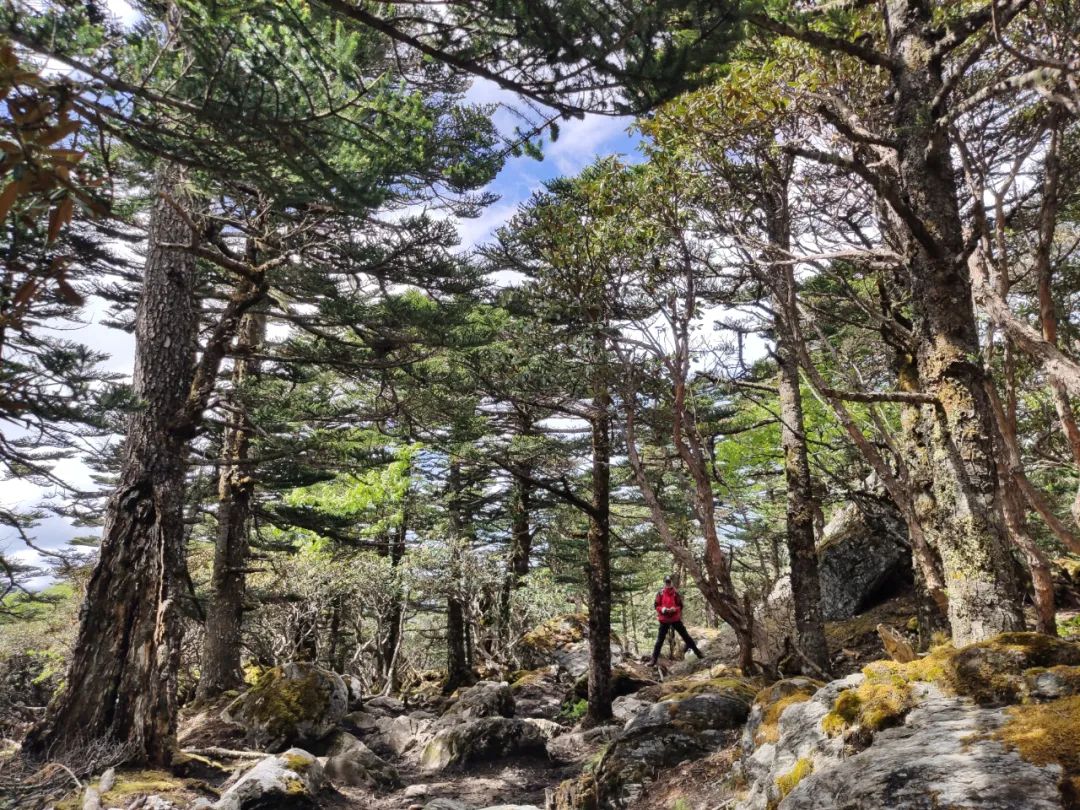 雪山進行時，5396米之上又是另一道風景！ 旅遊 第15張