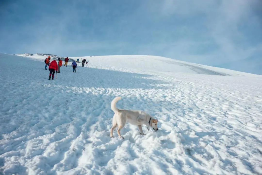 雪山進行時，5396米之上又是另一道風景！ 旅遊 第49張