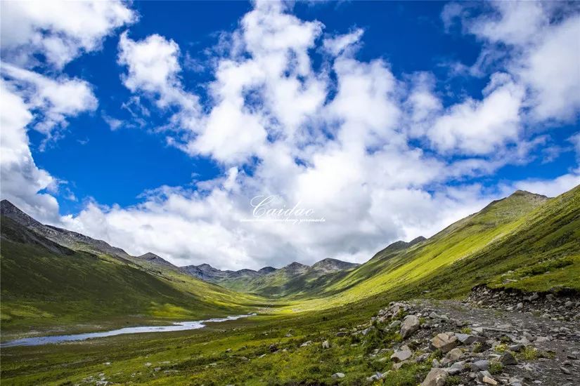 遇見莫斯卡，山上山，海上海 旅遊 第64張