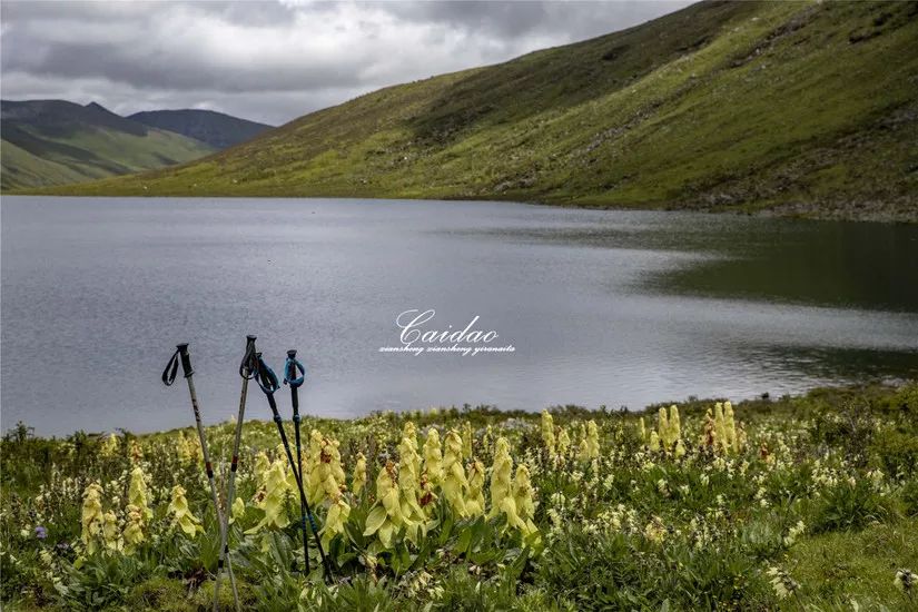 遇見莫斯卡，山上山，海上海 旅遊 第45張