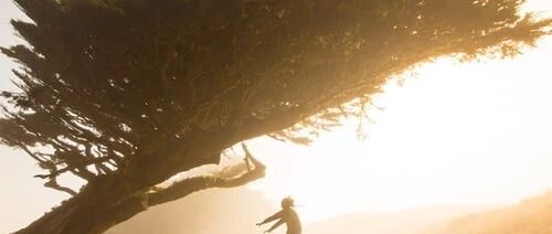 乘风破浪吧少年！优胜教育为你筑梦护航！