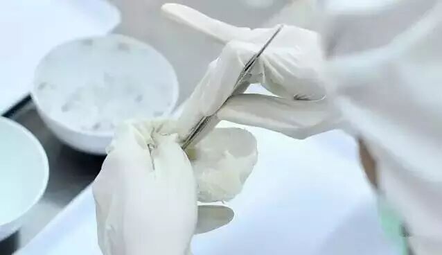 泡发后，不但有小毛，还有杂质，就对燕窝的品质与加工工艺产生质