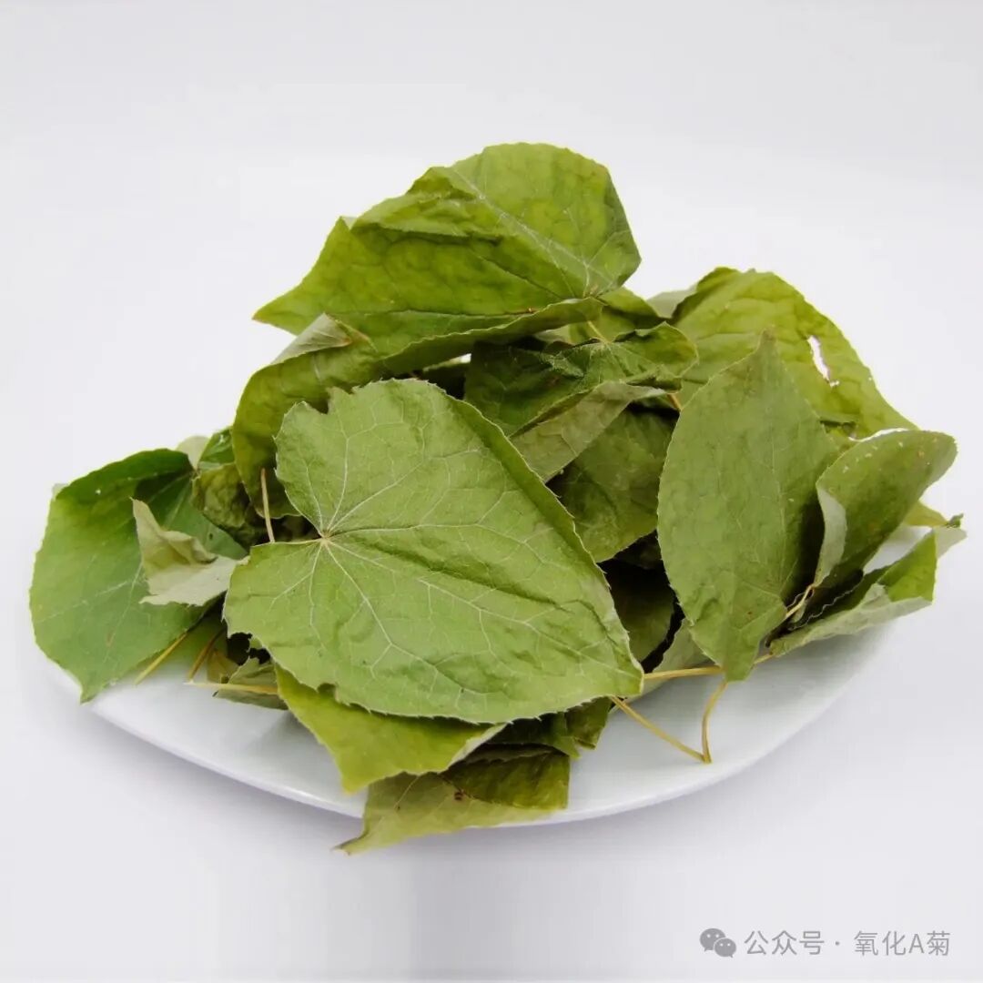 每天认识一味中药—淫羊藿