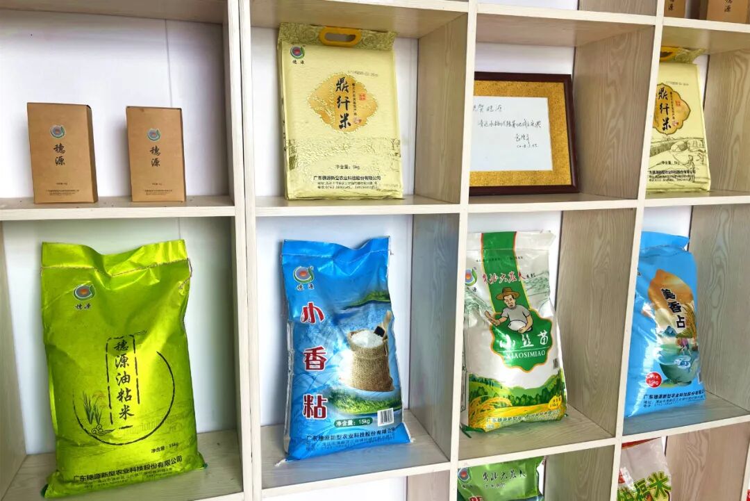 清新区着力加强丝苗米品牌建设，现已拥有多个优质品牌。