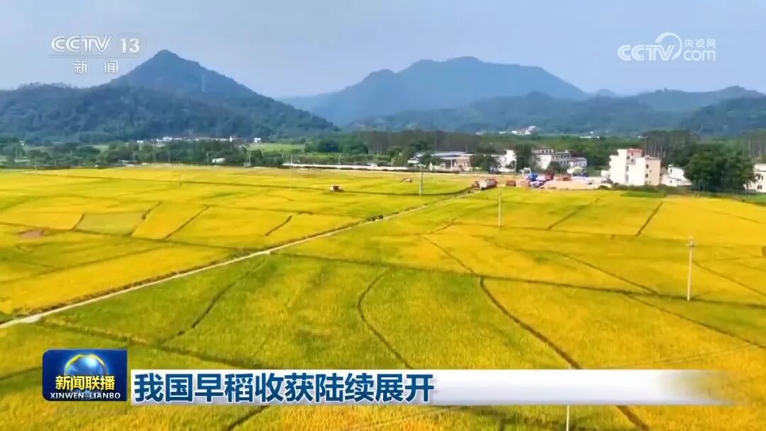 2025年7月13日，《新闻联播》播出清新区早稻收割场景。