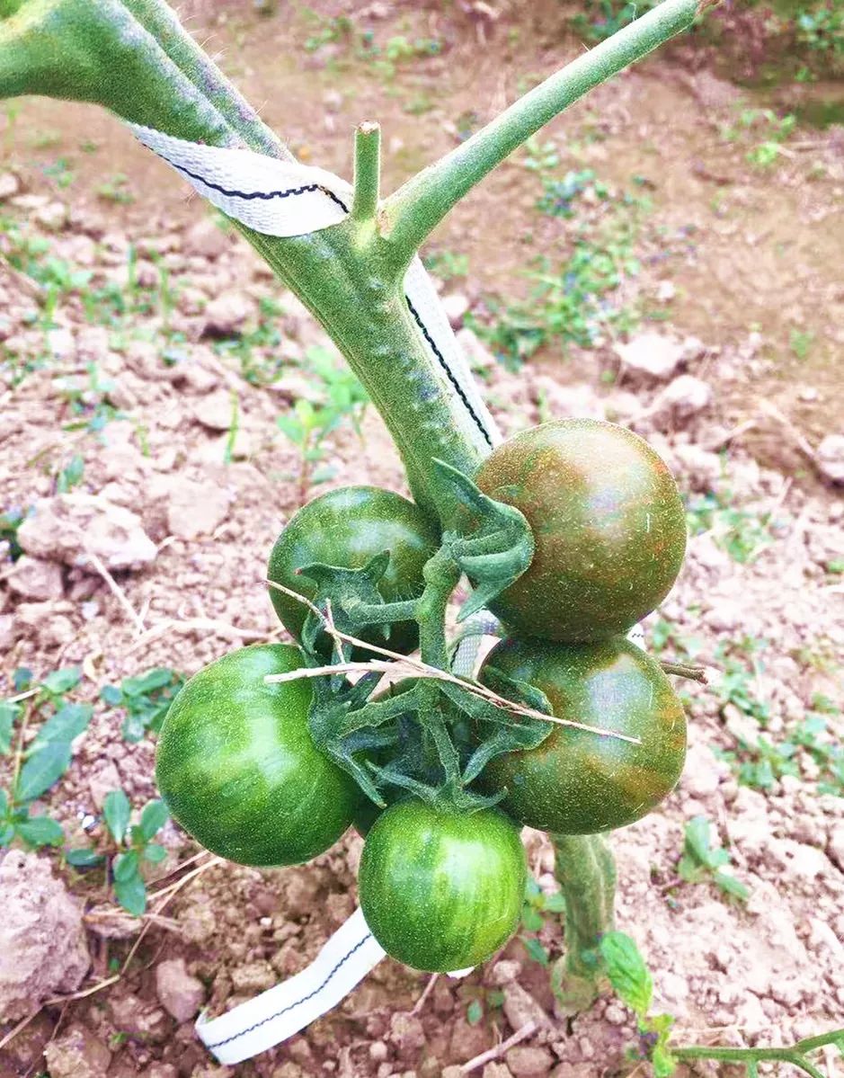 致富经马_长沙交警马致富_马致富临沂