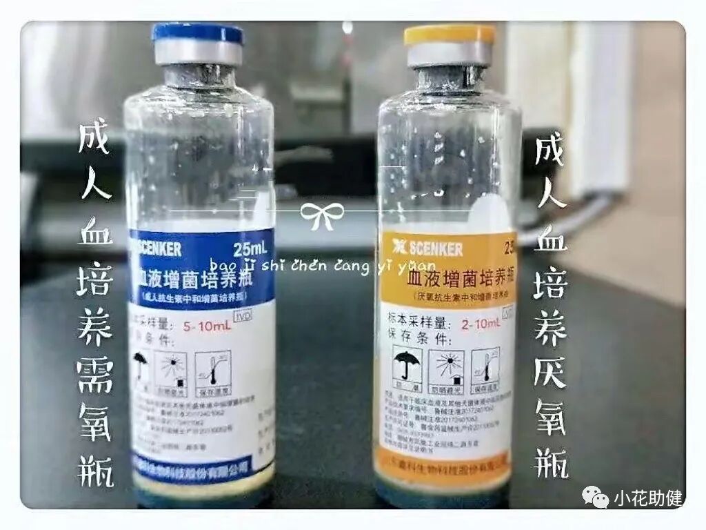 采血管分别采什么血静脉采血管的选择及注意事项_https://www.jmylbn.com_新闻资讯_第15张