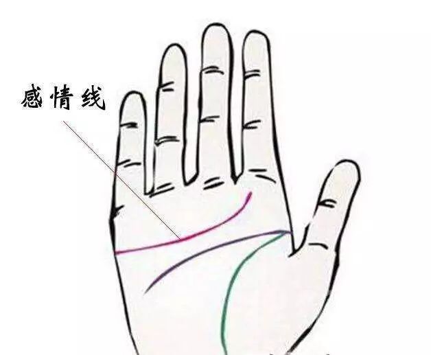 手相线感情线_手相感情线是哪一条线_感情线手相