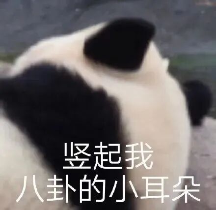 640