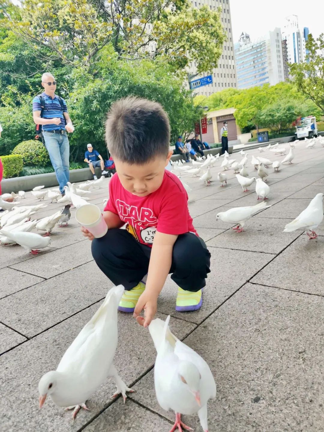 童心爱鸟，保护自然——我和小鸟做朋友
