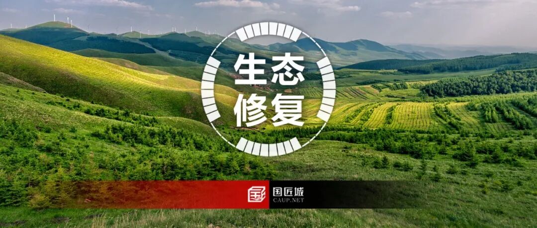 政策分享：河北省国土空间生态修复项目管理办法