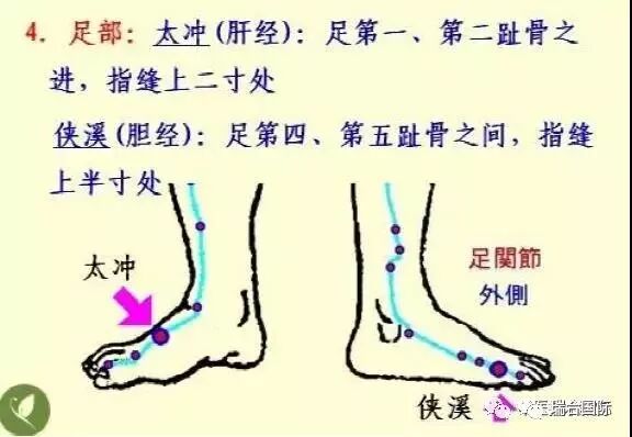 瑞合国际｜经络，气血，按摩五行总结- 瑞合国际 微信公众号文章阅读- WeMP