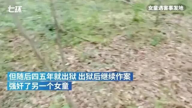 浙大学生糟蹋少女疑似获轻判：最可怕的，是放过世上的人渣（图） - 14
