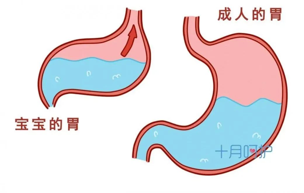 宝宝“拍嗝”有讲究—科学育儿