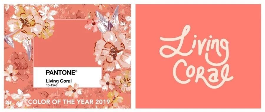 时尚探测仪|2019年度流行色来啦！听说被diss是审美灾难色？！