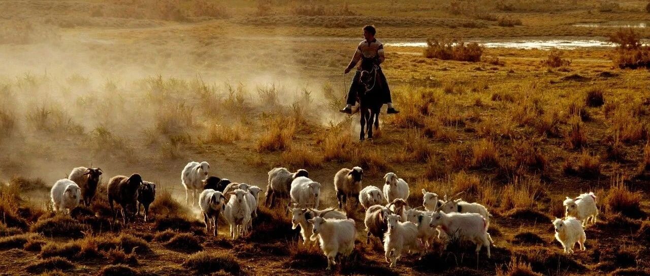 谢力行：天山脚下是新疆，万物生长是故乡。