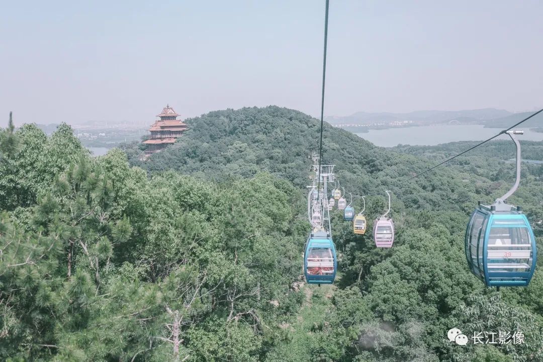 我們熟悉的東湖回來了 旅遊 第18張