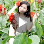 ?一首《凤凰展翅》?歌声绕耳太好听了?越听越喜欢?