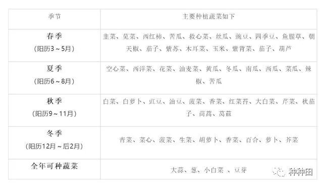 蔬菜常年种植时间表 月月都有下种 收藏备用 生态农业发展有限公司