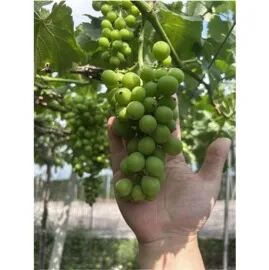 微信图片_20250523202546