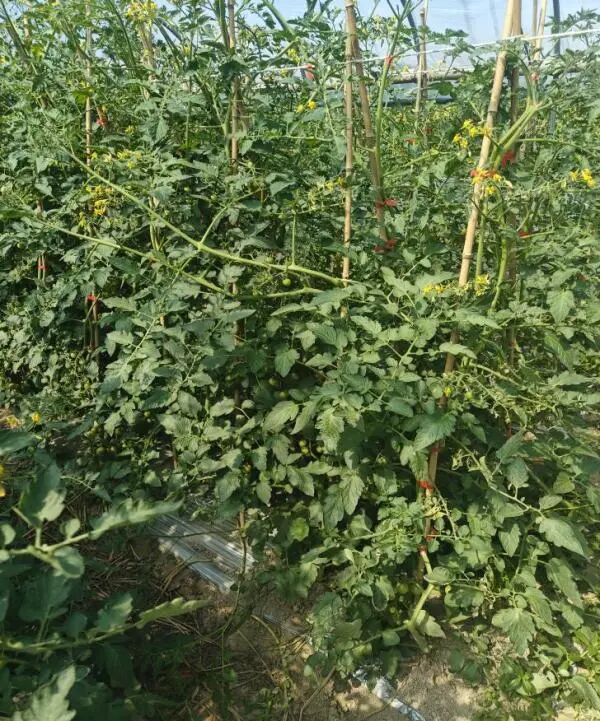 eee18fc6b8a0124d0829115d983d78b