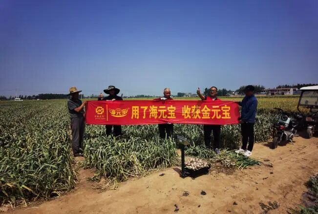 微信图片_20250605153540