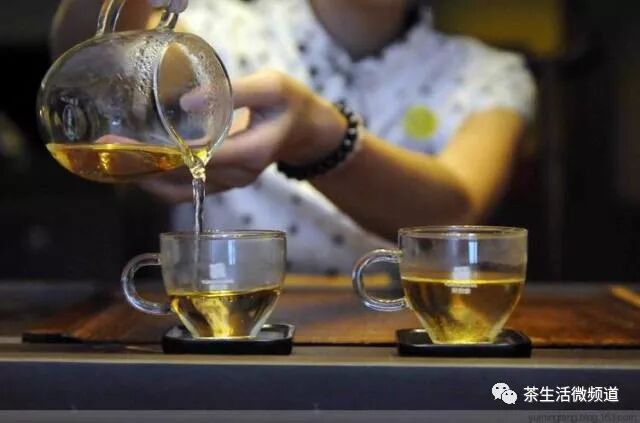 身体比思维更会挑好茶……