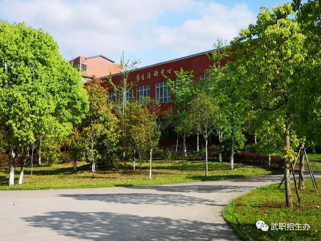 2022年武夷山职业学院高职分类考试招生简章