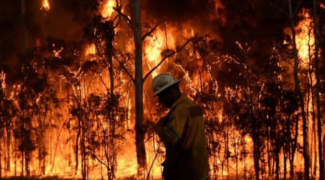 从山火到环保--澳大利亚政治决策过程的一瞥