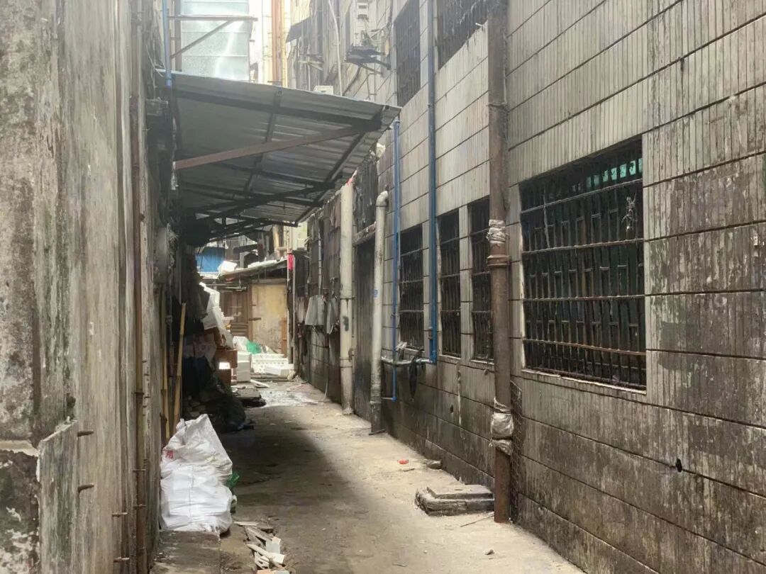 旧改提速，再现招工热！海珠康乐村和鹭江村，也即将迎来新一轮的改造