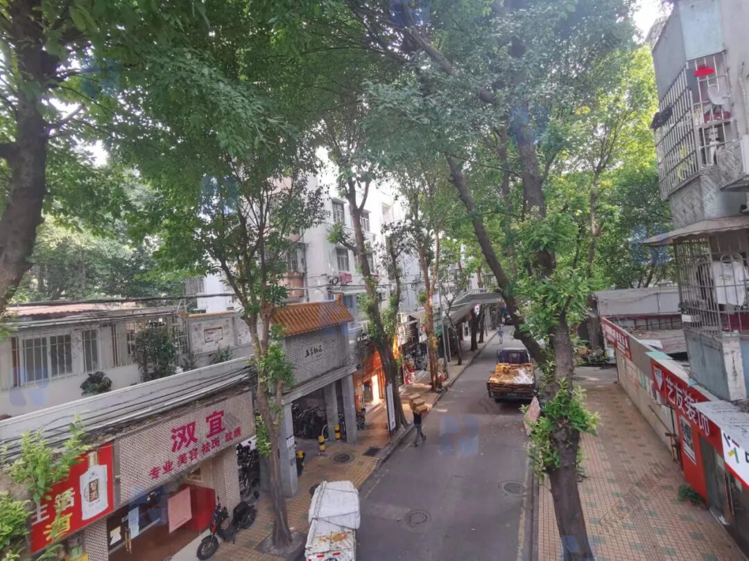 旧改无望，五羊新城房价跌回“5字头”