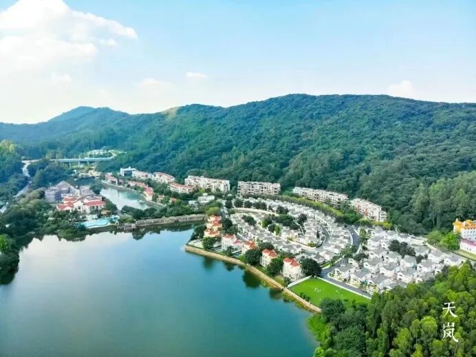 广州38盘鏖战银十！国庆黄金周18盘掀起“抢客战”