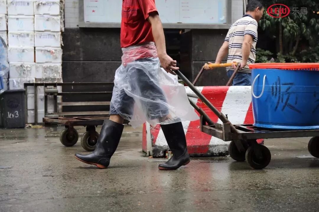 慕了！荔湾沙洛公布基础数据，有村民可得超1000㎡回迁指标